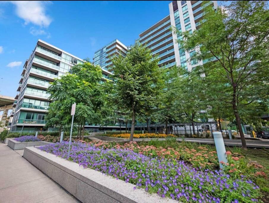 Cn Tower View With Free Parking, Pool, & More Amenities Торонто Экстерьер фото